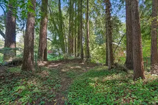 189 Wagnon Rd, Sebastopol, CA 95472 - Photo 54