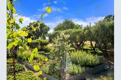 3487 Alexander Valley Road, Healdsburg, CA 95448 - Photo 36
