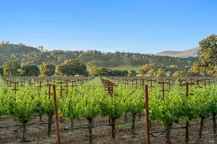 1785 Pope Canyon Rd, Saint Helena, CA 94574 - Photo 26