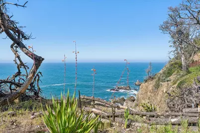 23432 Highway 1, Jenner, CA 95450 - Photo 38