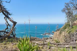 23432 Hwy 1, Jenner, CA 95450 - Photo 38