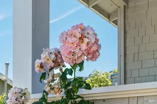 411 Main St, Sausalito, CA 94965 - Photo 4