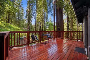 55 Van Ness Ave, Camp Meeker, CA 95419 - Photo 8