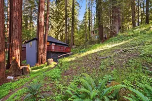55 Van Ness Ave, Camp Meeker, CA 95419 - Photo 2