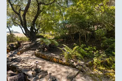 3810 White Alder, Sonoma, CA 95476 - Photo 40