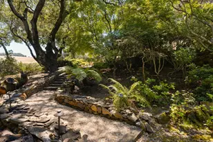 3810 White Alder, Sonoma, CA 95476 - Photo 40