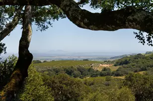 3810 White Alder, Sonoma, CA 95476 - Photo 2