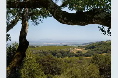3810 White Alder, Sonoma, CA 95476 - Photo 4