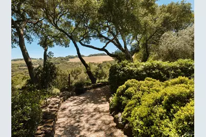 3810 White Alder, Sonoma, CA 95476 - Photo 38