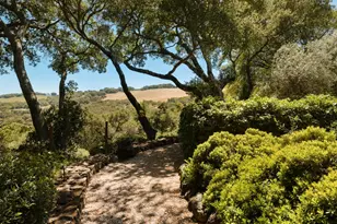 3810 White Alder, Sonoma, CA 95476 - Photo 38
