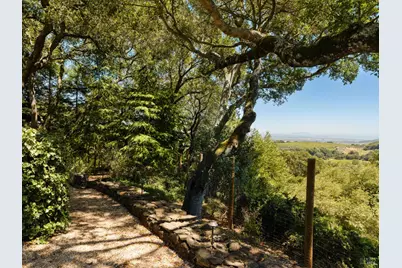 3810 White Alder, Sonoma, CA 95476 - Photo 40