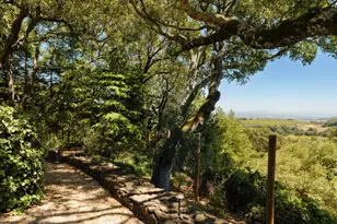 3810 White Alder, Sonoma, CA 95476 - Photo 40