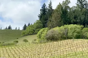 8900 Surprise Valley Rd, Comptche, CA 95427 - Photo 18
