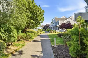 6033 Shelter Bay Ave, Mill Valley, CA 94941 - Photo 50