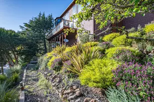 23 Venado Dr, Tiburon, CA 94920 - Photo 64