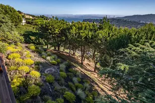 23 Venado Dr, Tiburon, CA 94920 - Photo 68