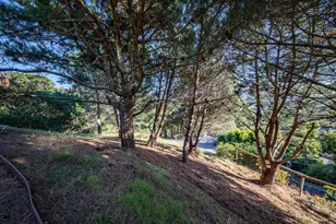 23 Venado Dr, Tiburon, CA 94920 - Photo 68