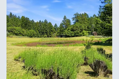 31397 Seaview Road, Cazadero, CA 95421 - Photo 42