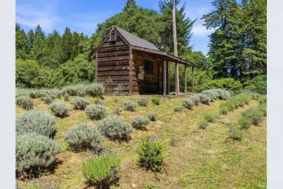 31397 Seaview Road, Cazadero, CA 95421 - Photo 40