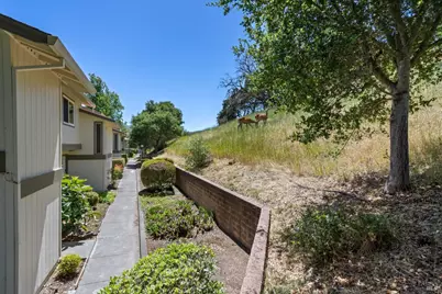 13 Oliva Drive #D, Novato, CA 94947 - Photo 4
