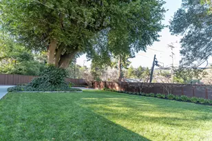 431 Marin Ave, Mill Valley, CA 94941 - Photo 4