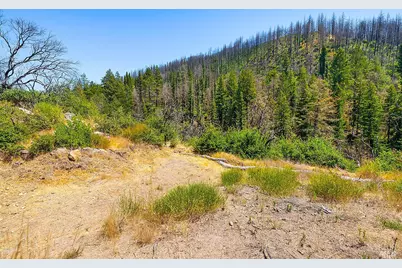 7905 St Helena Road, Santa Rosa, CA 95404 - Photo 24