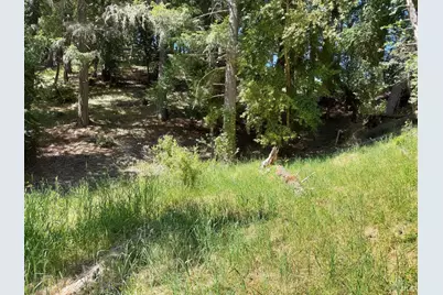 1494 Hulett Place, Willits, CA 95490 - Photo 2