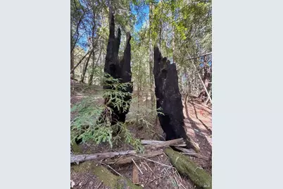 2421 Otter Lane, Willits, CA 95490 - Photo 2