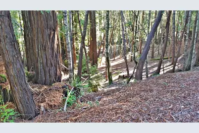 2421 Otter Lane, Willits, CA 95490 - Photo 4