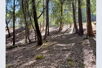 26931 Bear Drive, Willits, CA 95490 - Photo 2