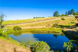 6200 Lazy Spgs Rd, Philo, CA 95466 - Photo 28
