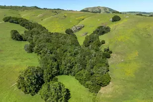 300 Rd To Ranches, Nicasio, CA 94946 - Photo 72