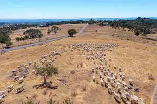 4665 Upper Ridge Rd, Santa Rosa, CA 95404 - Photo 86