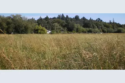 300 Ferguson Road, Sebastopol, CA 95472 - Photo 4