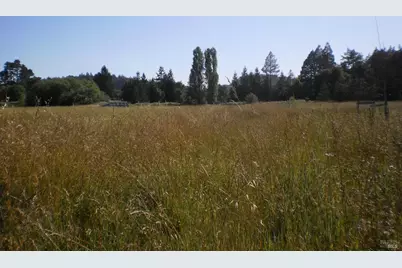 300 Ferguson Road, Sebastopol, CA 95472 - Photo 6
