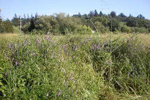 300 Ferguson Rd, Sebastopol, CA 95472 - Photo 1