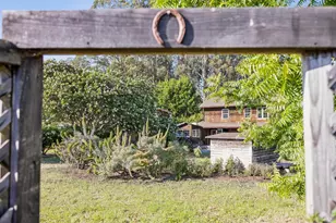 5 Lauff Ranch Rd, Bolinas, CA 94924 - Photo 88