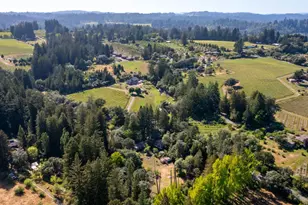 9901 Occidental Rd, Sebastopol, CA 95472 - Photo 44