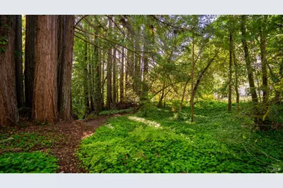 9901 Occidental Road, Sebastopol, CA 95472 - Photo 52