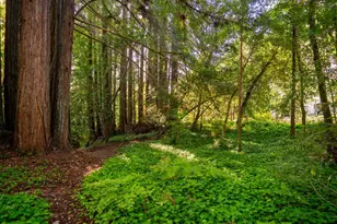 9901 Occidental Rd, Sebastopol, CA 95472 - Photo 52