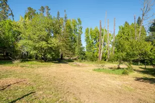 9901 Occidental Rd, Sebastopol, CA 95472 - Photo 42