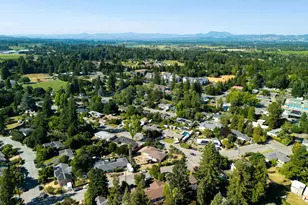 918 Dorthel St, Sebastopol, CA 95472 - Photo 46