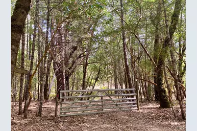 180 Mulligan Road, Laytonville, CA 95454 - Photo 18