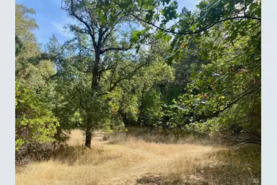180 Mulligan Road, Laytonville, CA 95454 - Photo 14