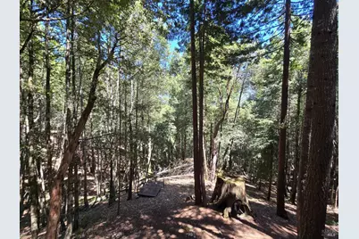 24861 Ridge Road, Willits, CA 95490 - Photo 20
