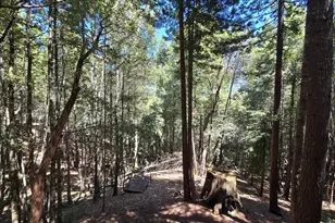 24861 Ridge Rd, Willits, CA 95490 - Photo 20