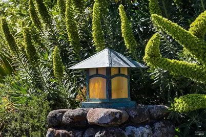 95 Irving Drive, San Anselmo, CA 94960 - Photo 8
