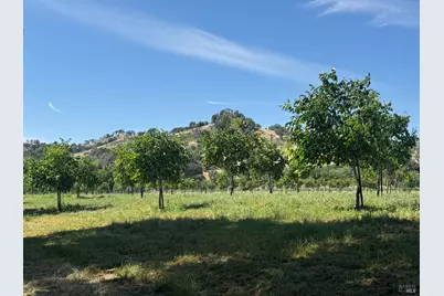 3442 Sackett Lane, Winters, CA 95694 - Photo 88