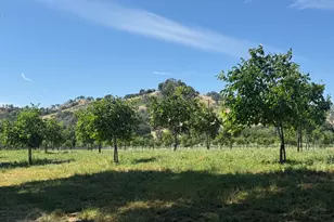 3442 Sackett Ln, Winters, CA 95694 - Photo 88