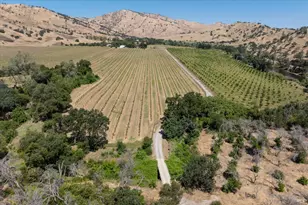 3442 Sackett Ln, Winters, CA 95694 - Photo 6